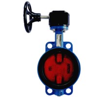 Затвор дисковый поворотный Tecofi VPI 4448-08 Ду50 Ру16 с редуктором VPNREDUCT F05