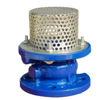 Клапан обратный Tecofi CC3241 Ду50 Ру16 пружинный, донный с фильтром, фланцевый, чугунный
