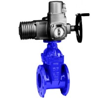 Задвижка AVK 06/30 клиновая фланцевая короткая, с электроприводом AUMA norm DN600 PN10